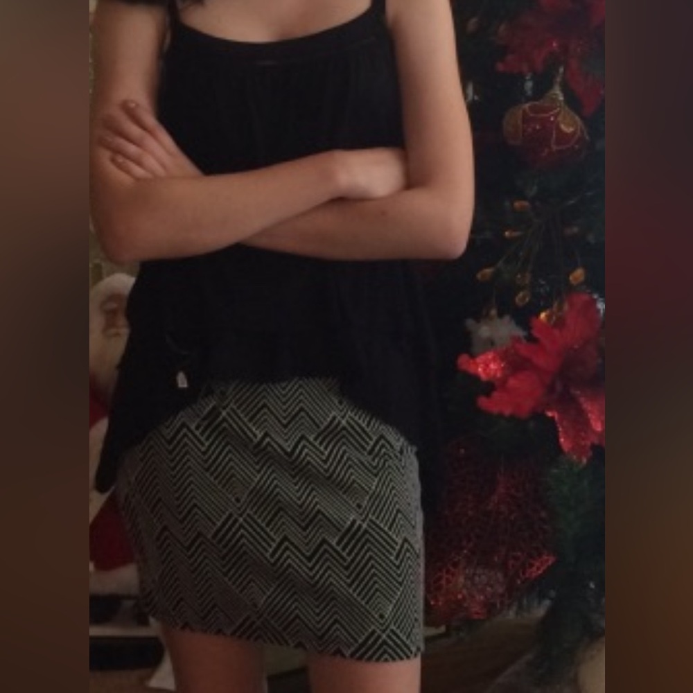 Zara Trafaluc skirt / fall winter collection Small